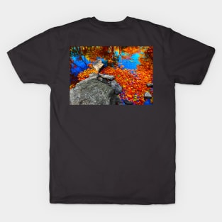 Brilliant fall foliage reflecting on calm water T-Shirt